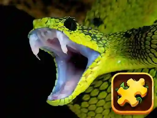 游戏Snake Puzzle Challenge在线