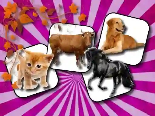 游戏Domestic Animal Memory Challenge在线