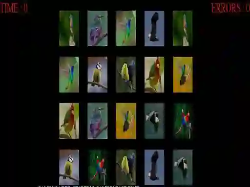 游戏Memorize the birds在线