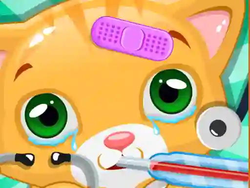 游戏Little Cat Doctor在线