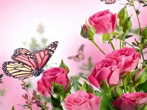 游戏Butterflies Puzzle在线