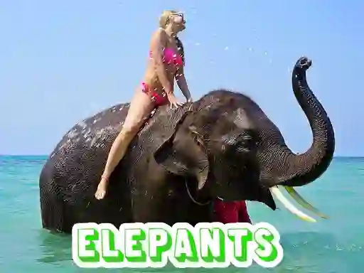 游戏Elephants Puzzle在线