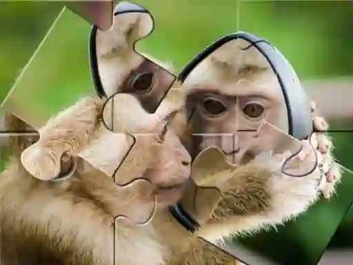 游戏Chimpanzee Jigsaw在线
