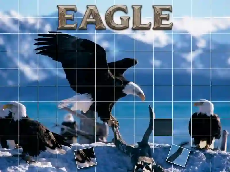 游戏Eagle在线