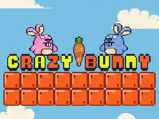 游戏Crazy Bunny在线