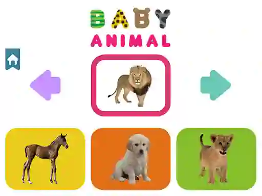 游戏Baby Animal在线