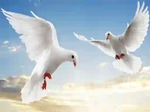 游戏Flying Birds在线