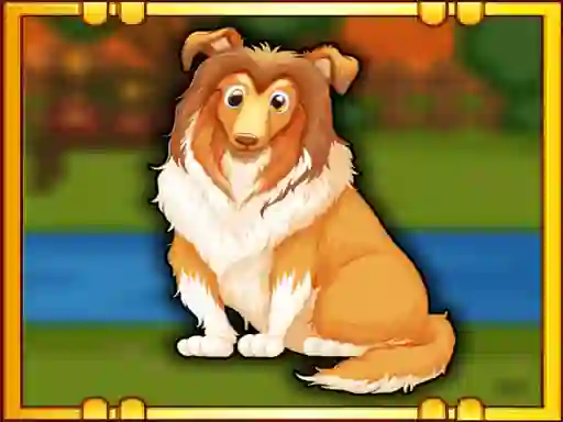 游戏Bernese Mountain Dog Escape在线