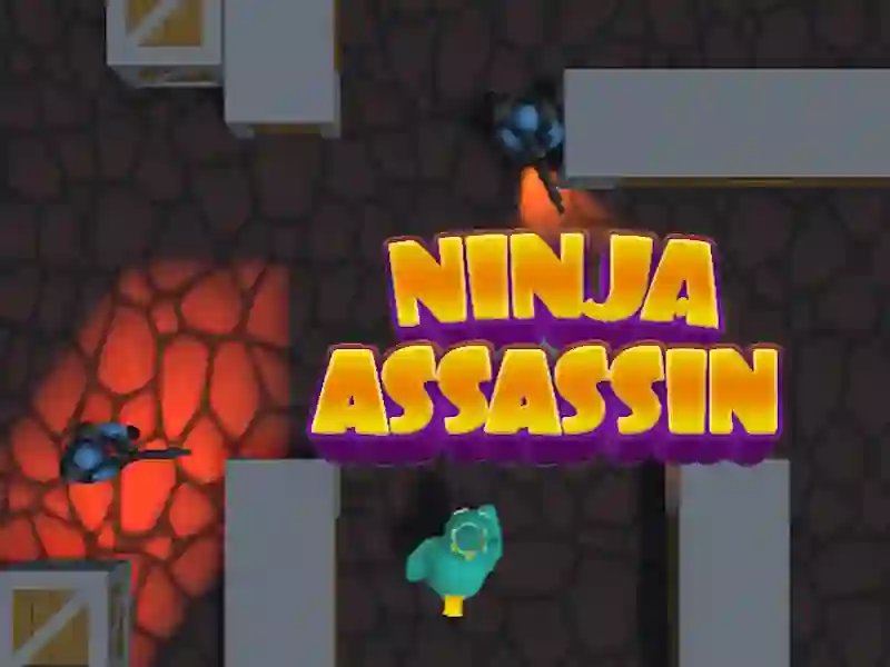 游戏Ninja Assassin在线