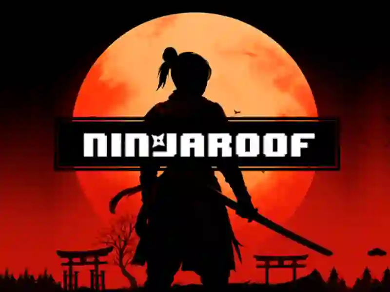 游戏Ninja Roof在线