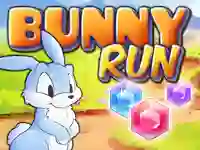 游戏Bunny Run在线