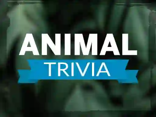 游戏Animal Trivia在线