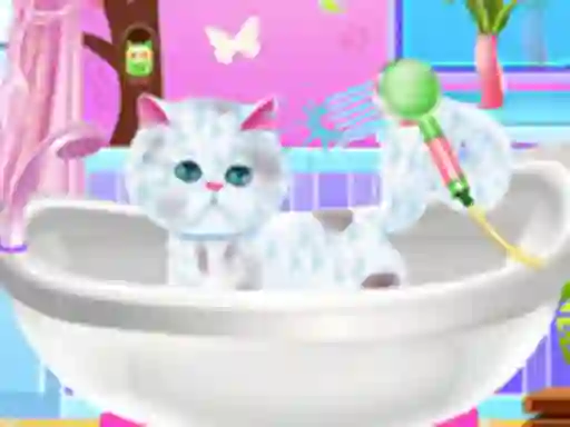 游戏Excellent Pet Groomer在线