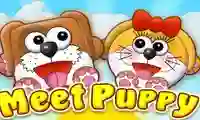 游戏Meet Puppy在线