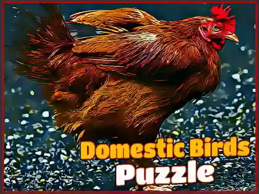 游戏Domestic Birds Puzzle在线