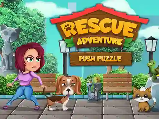 游戏Rescue Adventure Push Puzzle在线