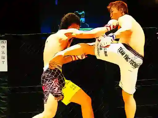 游戏UFC Fighting Match Jigsaw在线