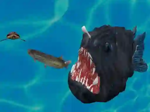 游戏Fish 3d在线