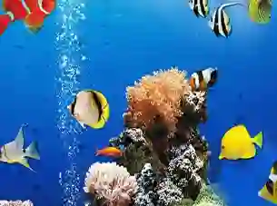 游戏Sea Underwater Difference在线