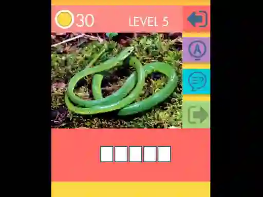 游戏15 Picture Quiz在线