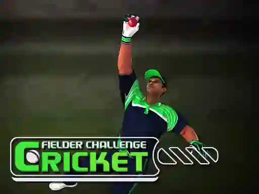 游戏Cricket Fielder Challenge在线