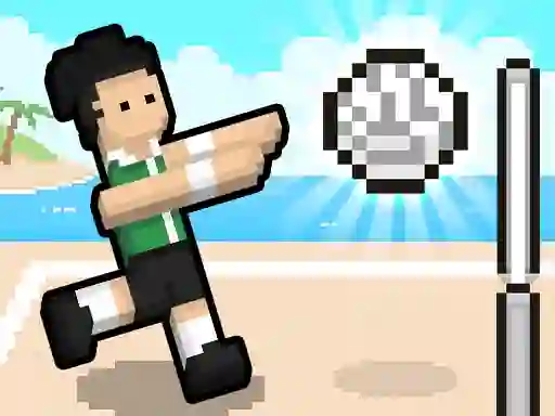 游戏Volley Random在线