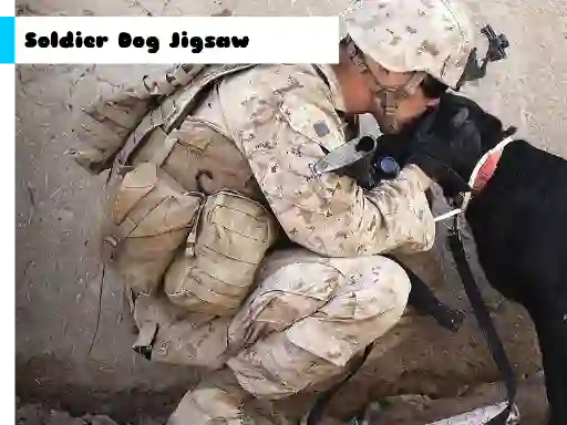 游戏Soldier Dog Jigsaw在线