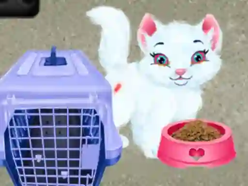 游戏Baby Taylor Pet Care在线