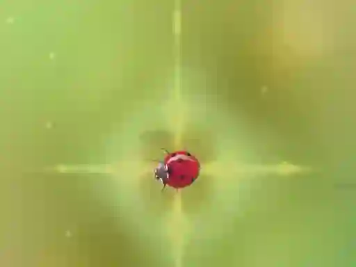 游戏Pest Control在线