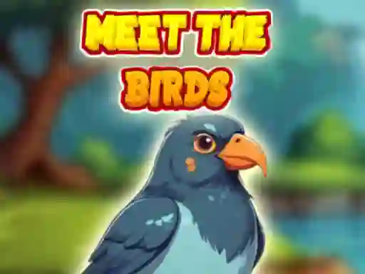 游戏Meet The Birds在线