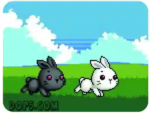 游戏Cute Rabbit在线