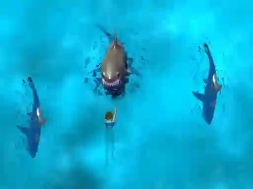 游戏Avoid the Sharks在线