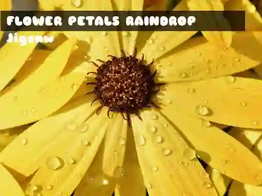 游戏Flower Petals Raindrop Jigsaw在线