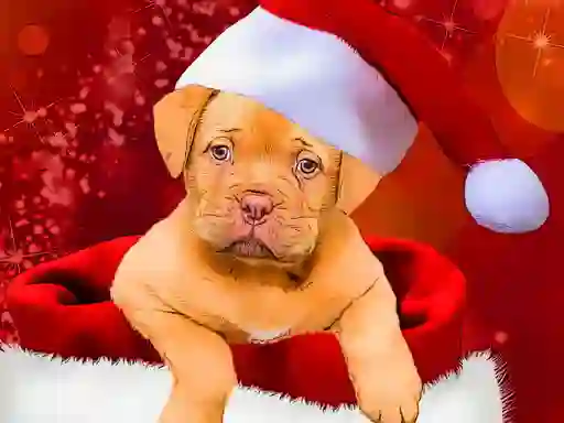 游戏Christmas Dogs Styles在线