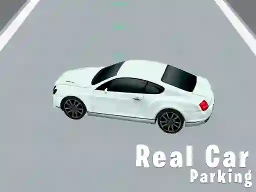 游戏Real Car Parking在线