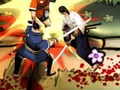 游戏武士Shown 在线