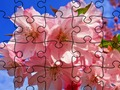 游戏拼图: 花在线