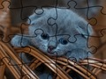 游戏拼图：猫在线