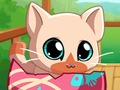 游戏我的口袋宠物猫咪猫 在线