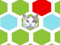 游戏陷阱猫 在线