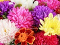 游戏2019母亲节拼图在线