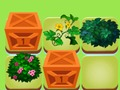 游戏植物融合 在线