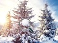 游戏寻找雪球在线