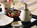 游戏日本食在线