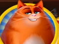 游戏小猫混乱在线