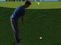 游戏Flash Golf 3D 在线