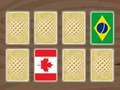 游戏世界国旗记忆在线