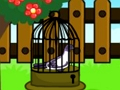 游戏鸽子逃生 在线