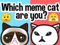 游戏你是哪种迷因猫？在线