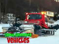 游戏雪地美容车 在线
